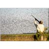 Image 1 : Bolivian Adventures Dove and Pigeon Hunt