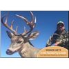 Image 1 : Muy Grande Coues Deer