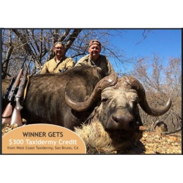 Bobby Hansen Buffalo Hunt