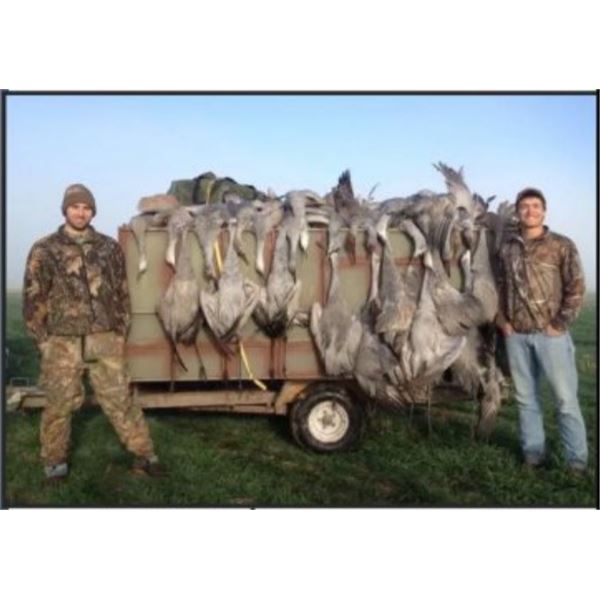 Texas Crane Hunt