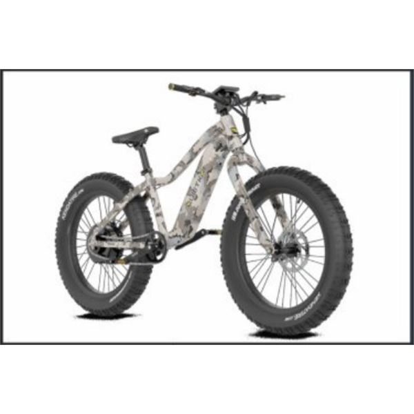 Quiet Kat E-Bike