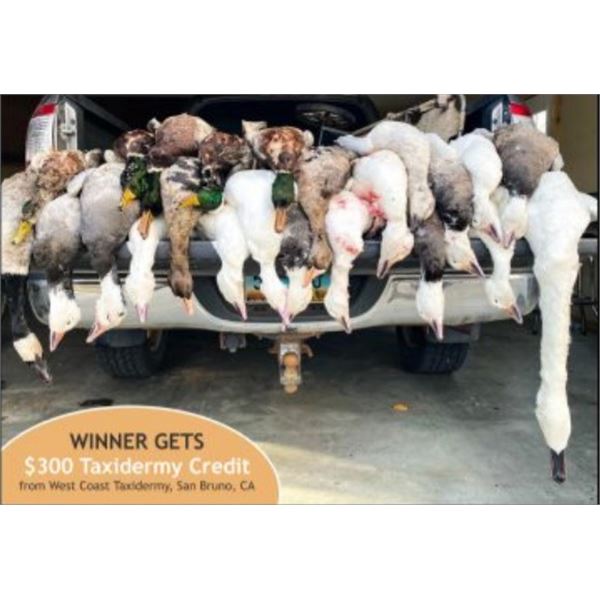 North Dakota Duck and goose