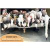 Image 1 : North Dakota Duck and goose