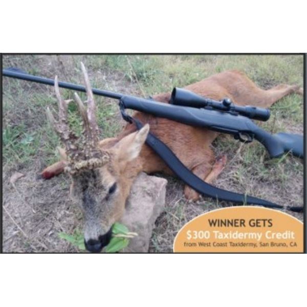 Iberian Hunting Experience