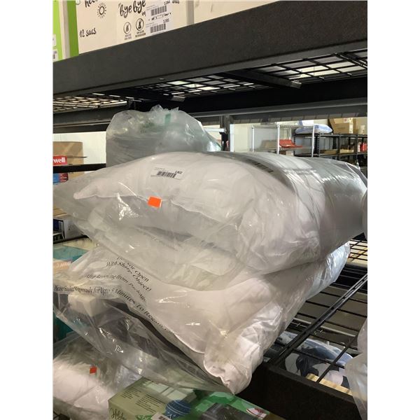 Standard Size Pillow Lot of 2