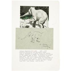 Tony Sarg Signed Illustration of an Elephant