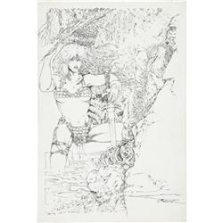 Jim Fletcher - Warrior Woman Portfolio