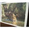 Image 8 : Simon Coombs Great Cats some signed
