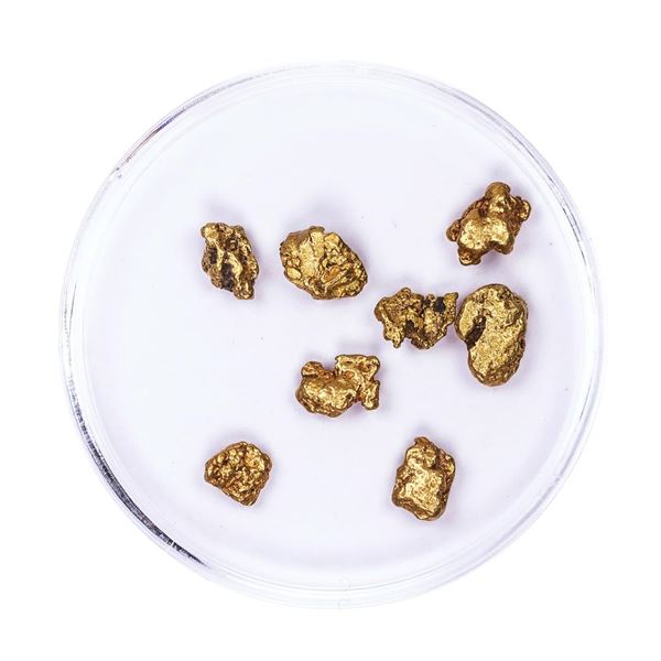 Lot of Gold Nuggets 4.05 grams Total Weight