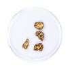Image 1 : Lot of Gold Nuggets 2.41 grams Total Weight