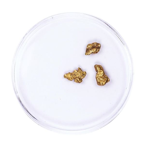 Lot of Gold Nuggets 1.18 grams Total Weight