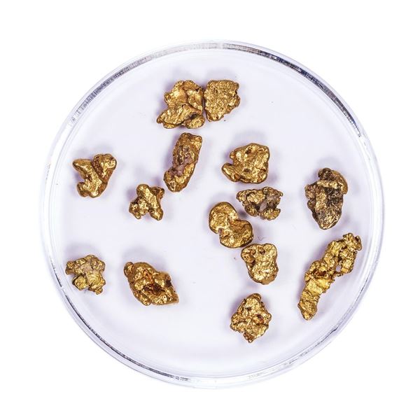 Lot of Gold Nuggets 5.24 grams Total Weight