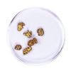 Image 1 : Lot of Gold Nuggets 2.32 grams Total Weight