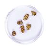 Image 2 : Lot of Gold Nuggets 2.32 grams Total Weight
