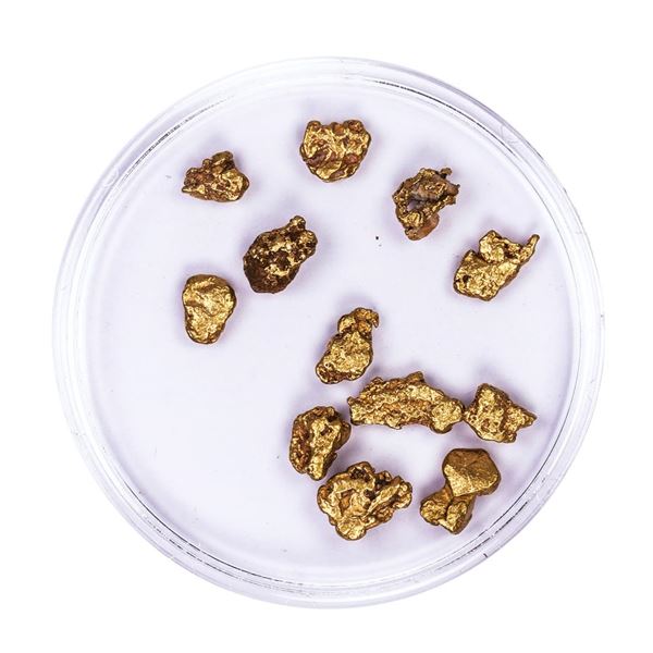 Lot of Gold Nuggets 4.69 grams Total Weight