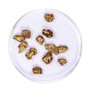 Image 2 : Lot of Gold Nuggets 4.69 grams Total Weight