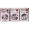 Image 1 : Lot of (3) 1979Mo Mexico 1 Onza Silver Coins NGC MS63