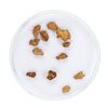 Image 2 : Lot of Gold Nuggets 2.00 Grams Total Weight