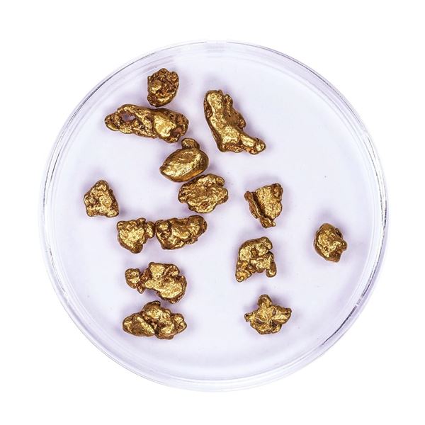 Lot of Gold Nuggets 6.49 grams Total Weight