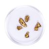 Image 2 : Lot of Gold Nuggets 2.53 grams Total Weight