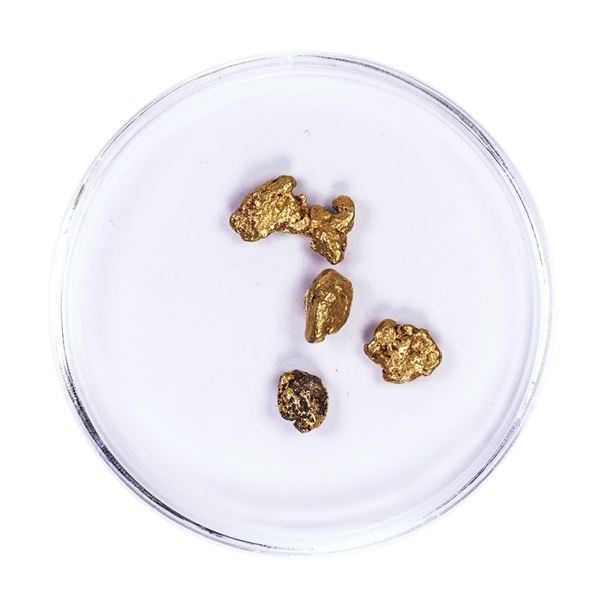 Lot of Gold Nuggets 2.36 grams Total Weight