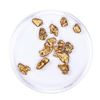 Image 2 : Lot of Gold Nuggets 5.48 grams Total Weight