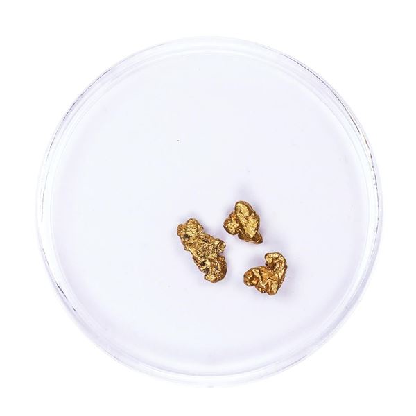 Lot of Gold Nuggets 1.23 grams Total Weight