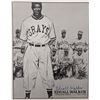 Image 1 : Edsall Walker Homestead Grays Signed Photo