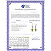 Image 2 : Genuine 3.2 ctw Peridot Earrings 14KT Rose Gold - REF-30M2T