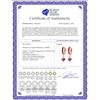 Image 2 : Genuine 3.7 ctw Ruby Earrings 14KT White Gold - REF-60M3T