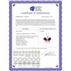 Image 2 : Genuine 10.60 ctw Ruby & Diamond Necklace 14KT Rose Gold - REF-181W9Y