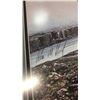 Image 2 : LEP 124/250 FALCON SIGNED BY ALAN HUNT 22" X26.5