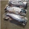 Image 2 : 4 NEW 12" WIGGLY FISH RECHARGEABLE CAT TOYS RETAIL $17.99 EACH