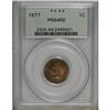 Image 3 : 1877 1C PR64 Red PCGS