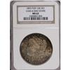 Image 1 : 1893 $1 MS62 NGC