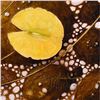 Image 2 : Terry Gilecki, "Somewhere in the Middle" Limited Edition on Gallery Wrapped Canvas, Numbered 1/95 an