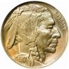 Image 1 : 1917-D Buffalo Nickel. MS-64 (NGC).