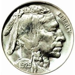 1929 Buffalo Nickel. MS-66 (PCGS).