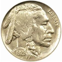 1929-D Buffalo Nickel. MS-65 (NGC).