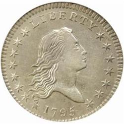 1795 Flowing Hair Half Dollar. O-104. Rarity-4. AU-58 (NGC).