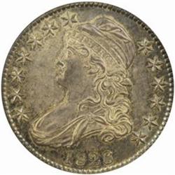 1828 Capped Bust Half Dollar. O-118. Rarity-3. Square Base 2, Small 8s, Large Letters. MS-62 (NGC).