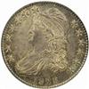 Image 1 : 1828 Capped Bust Half Dollar. O-118. Rarity-3. Square Base 2, Small 8s, Large Letters. MS-62 (NGC).