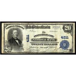 Amsterdam, NY. $20 1902 Plain Back. Fr. 653. The Amsterdam City NB. Charter #4211. Very Fine.
