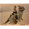 Image 1 : Star Wars: The Empire Strikes Back 1980 original vintage lobby card