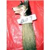 Image 1 : Rare Small German Shepard Vanity Brush Doll