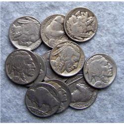 11 Buffalo Nickels