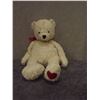 Image 1 : Vintage white teddy bear (PM)