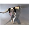 Image 2 : Painted Steer Skull