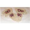 Image 1 : NATIVE AMERICAN MITTENS