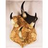 Image 1 : HORNED COAT RACK